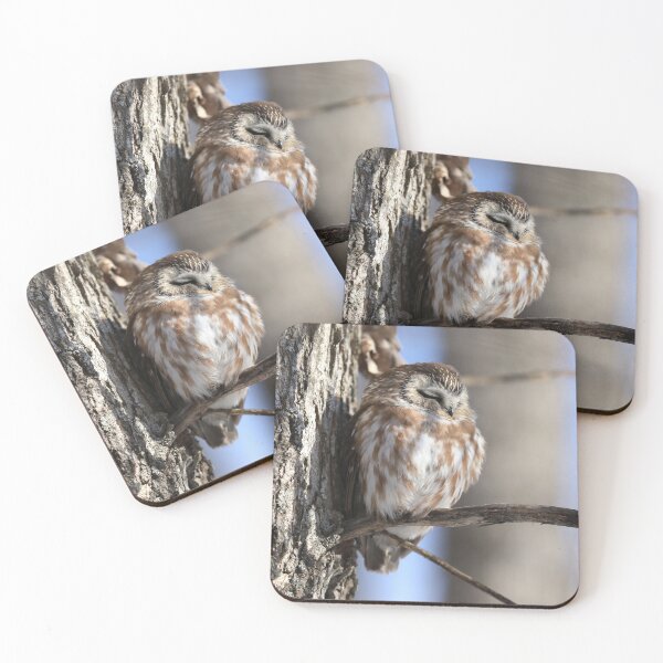 Item preview, Sleeping Saw Whet Owl designed and sold by locustgirl.