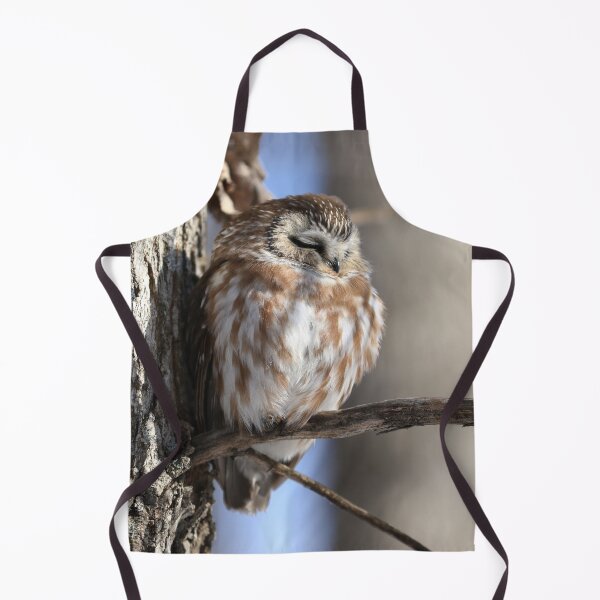Item preview, Sleeping Saw Whet Owl designed and sold by locustgirl.