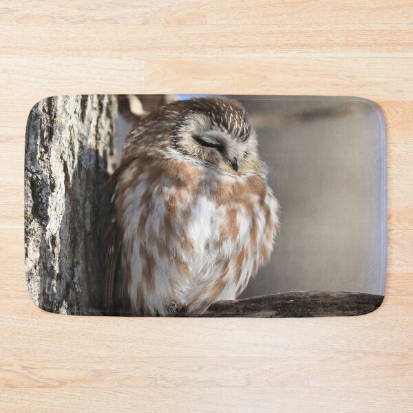 Item preview, Sleeping Saw Whet Owl designed and sold by locustgirl.