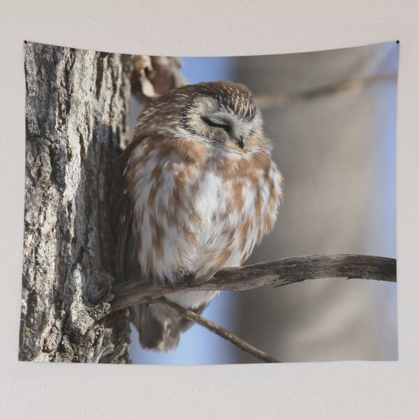 Item preview, Sleeping Saw Whet Owl designed and sold by locustgirl.