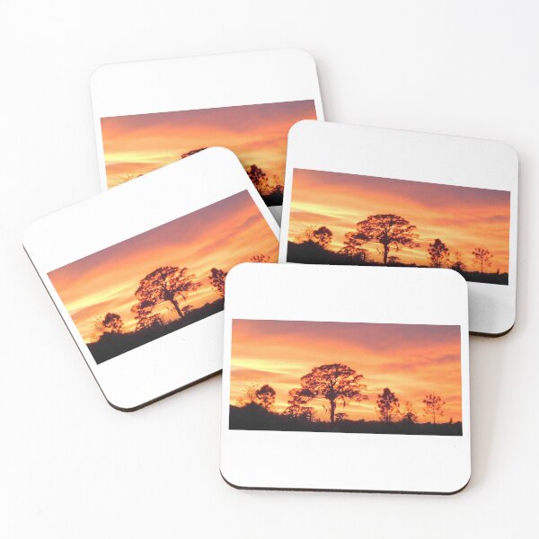 Item preview, Florida_Sunset designed and sold by AndClipArt.