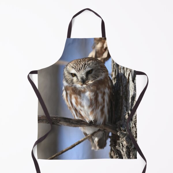 Item preview, Alert Saw Whet Owl designed and sold by locustgirl.