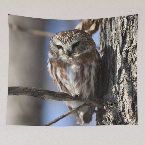 Item preview, Alert Saw Whet Owl designed and sold by locustgirl.