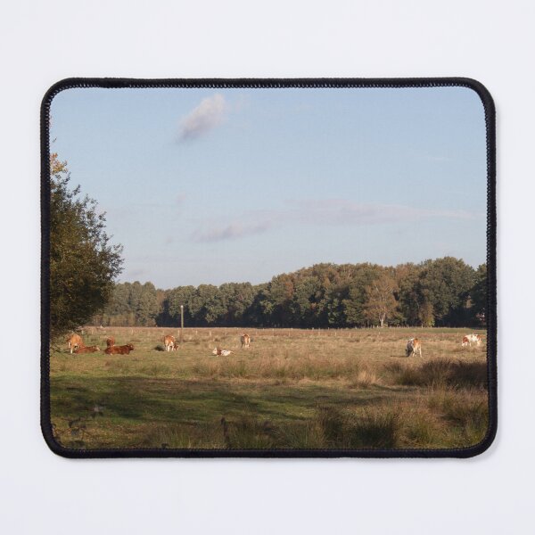 Item preview, Cattle in Raised Bog designed and sold by Calidris Fotografie Steffi & Ben Köppler.