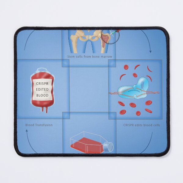 Item preview, CRISPR Cure for Sickle Cell Disease designed and sold by ScienceSource.