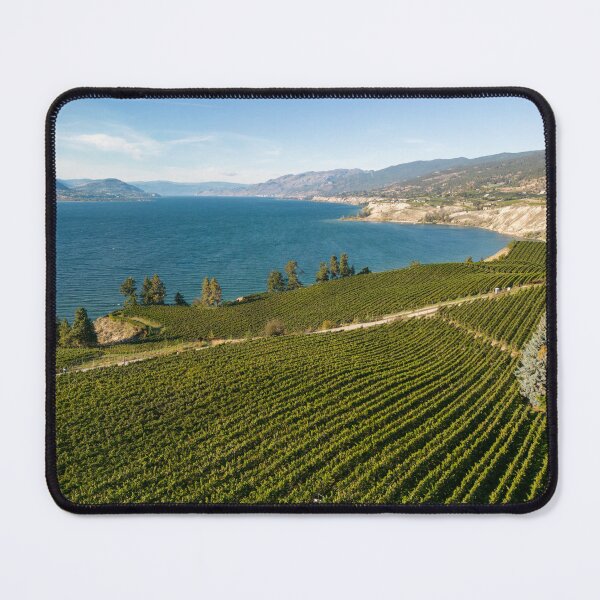 Item preview, Okanagan Valley Winery Vineyard British Columbia designed and sold by Kevin Miller Photography.