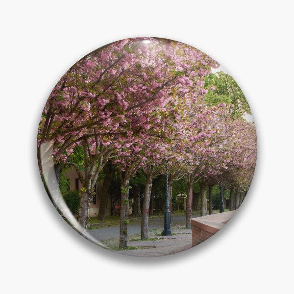 Item preview, A walk amongst Cherry Blossom trees - photography-  designed and sold by Tilosparty30.