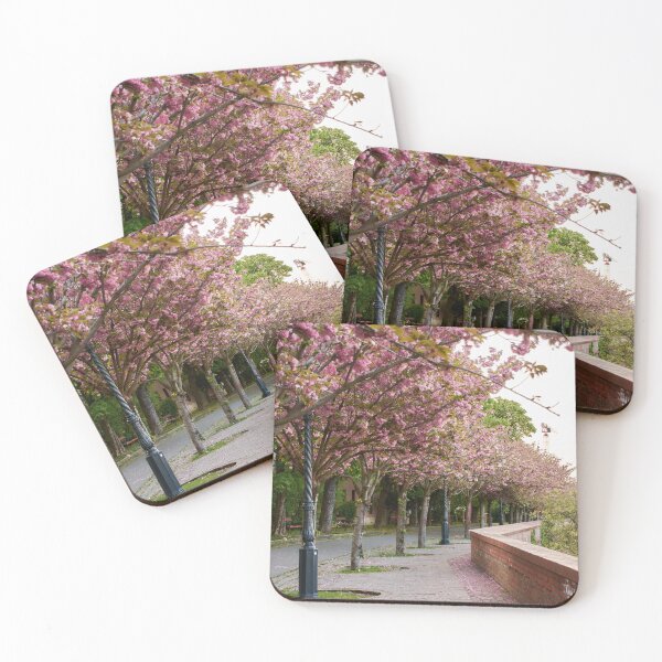 Item preview, A walk amongst Cherry Blossom trees - photography-  designed and sold by Tilosparty30.