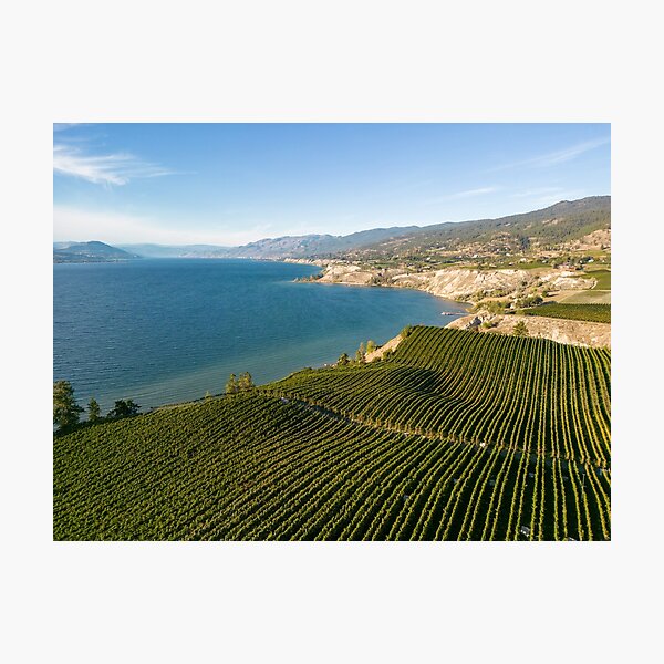 Item preview, Okanagan Valley Winery Vineyard British Columbia designed and sold by Kevin Miller Photography.