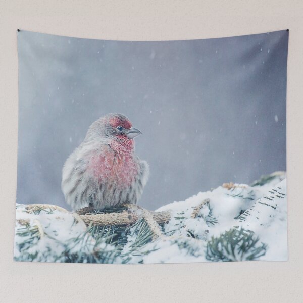 Item preview, House Finch 2 designed and sold by Shauna Kenworthy.
