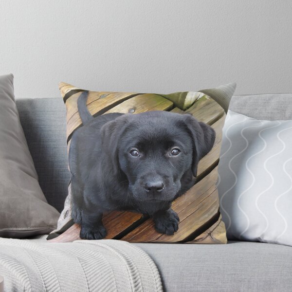 Item preview, Black Lab Puppy designed and sold by BlackDogArtJudy.