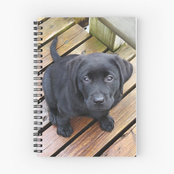 Item preview, Black Lab Puppy designed and sold by BlackDogArtJudy.