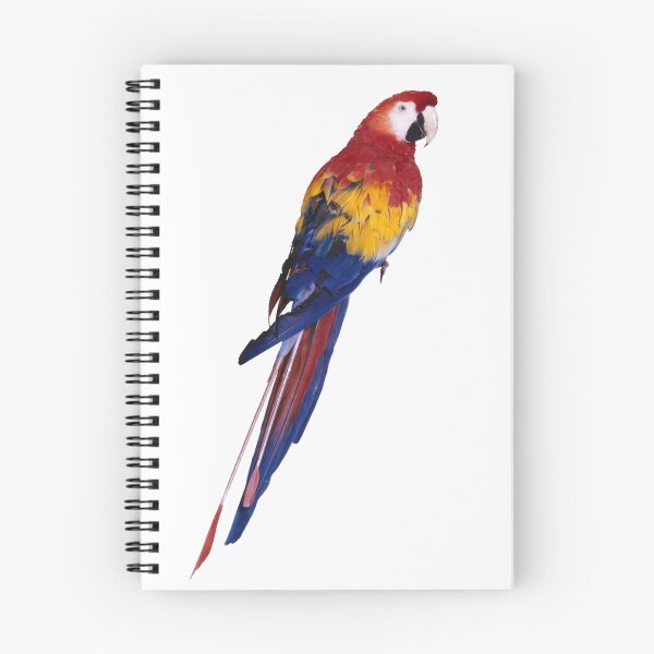 Item preview, Loro designed and sold by Collection de trésors .