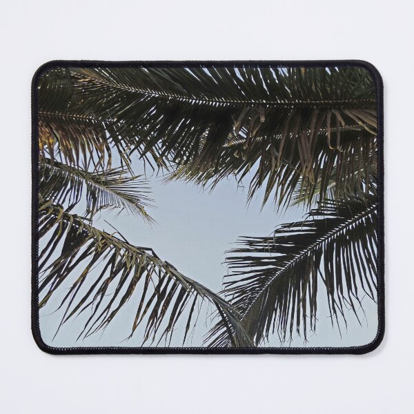 Item preview, Looking up at palm fronds  designed and sold by Jmb67.