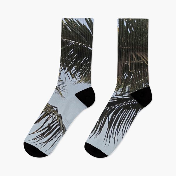 Item preview, Looking up at palm fronds  designed and sold by Jmb67.