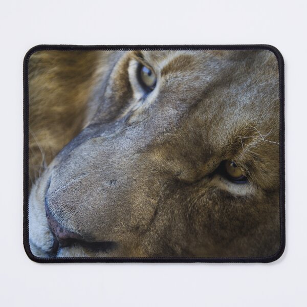 Item preview, african lion color designed and sold by GBOHKSTAR.
