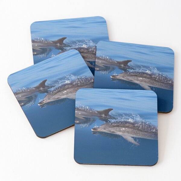 Item preview, Atlantic spotted dolphins, mother and baby dolphin (Stenella frontalis) designed and sold by Chloé Yzoard.