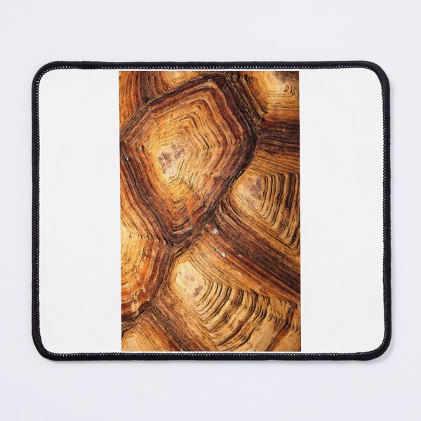 Item preview, Turtle shell designed and sold by foxxya.