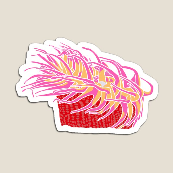 Item preview, Sea Anemone designed and sold by karanixon12.