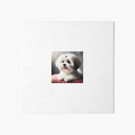 Artikel-Vorschau von Bolonka Zwetna Hund mit Schleife, designt und verkauft von Bolonka-Shop.