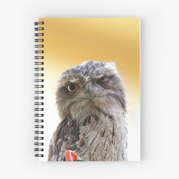 Item preview, Tawny Frogmouth on the cloths line designed and sold by Doug Cliff.
