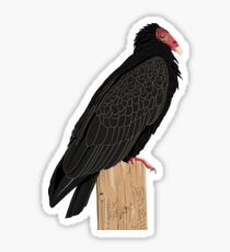 Turkey Vulture Sticker