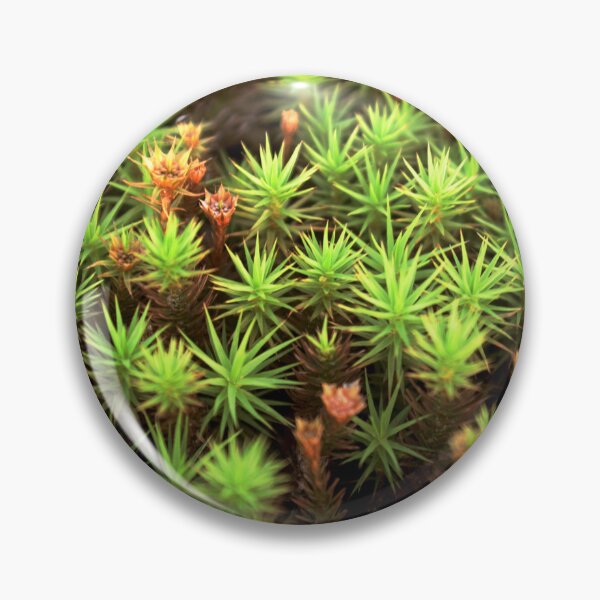 Item preview, Green Moss 2 designed and sold by brusifur.