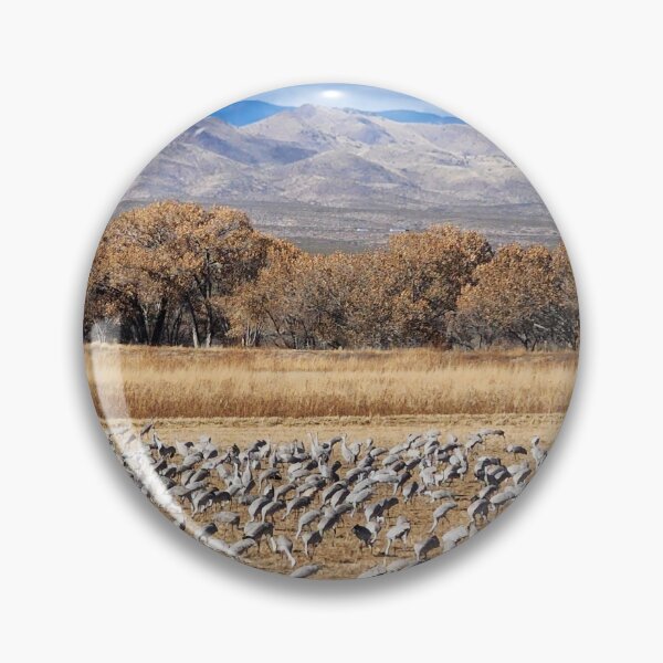 Item preview, Sandhill Cranes: Seasonal Joys designed and sold by CESW Photography.