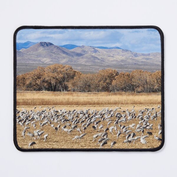 Item preview, Sandhill Cranes: Seasonal Joys designed and sold by CESW Photography.