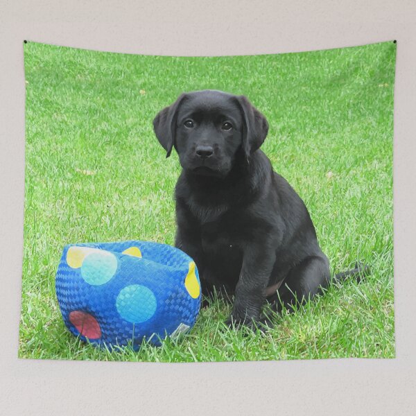 Item preview, Black Lab Puppy designed and sold by BlackDogArtJudy.