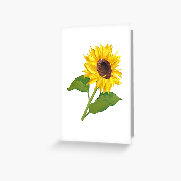 Sunflower Greeting Card