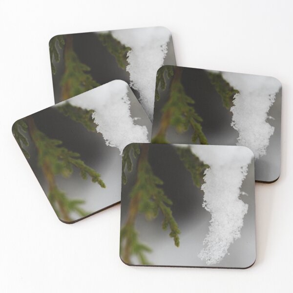 Item preview, First snow on a Juniper designed and sold by CESW Photography.