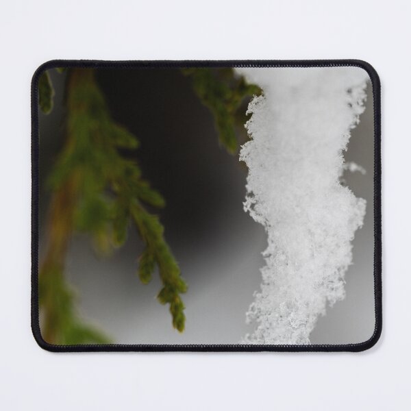 Item preview, First snow on a Juniper designed and sold by CESW Photography.