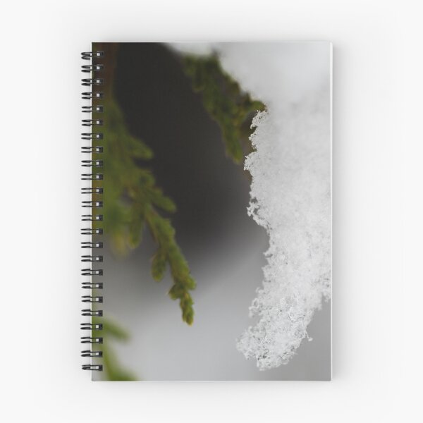 Item preview, First snow on a Juniper designed and sold by CESW Photography.