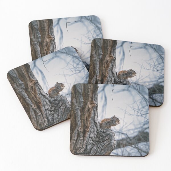 Item preview, Stocking Up designed and sold by CESW Photography.