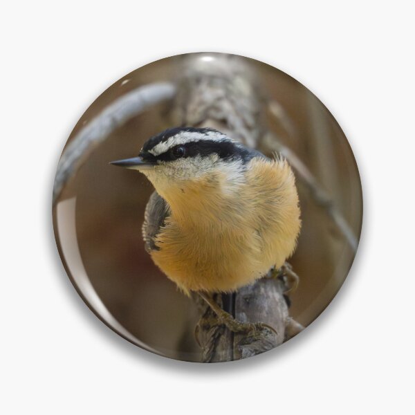 Item preview, Red-breasted Nuthatch designed and sold by CESW Photography.