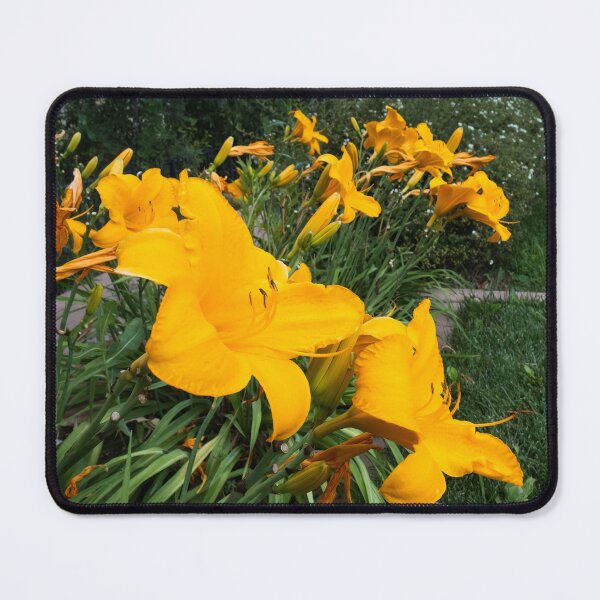 Item preview, Santa Fe Plaza Flower Bed designed and sold by CESW Photography.