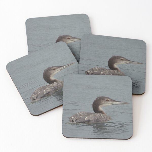 Item preview, Common Loon designed and sold by CESW Photography.