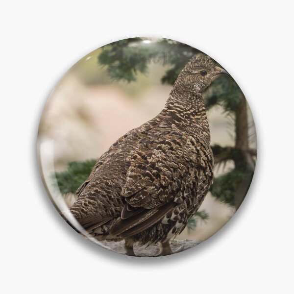 Item preview, Dusky Grouse designed and sold by CESW Photography.