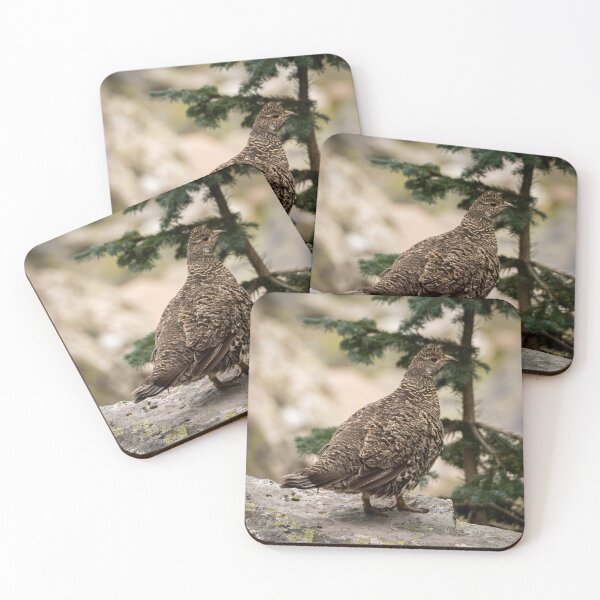 Item preview, Dusky Grouse designed and sold by CESW Photography.