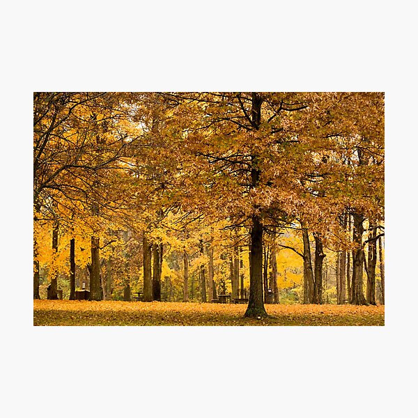 Item preview, Golden Autumn designed and sold by richs85.