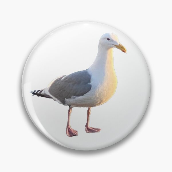Item preview, Northwest Seagull in Port Townsend designed and sold by lisakayfotos.