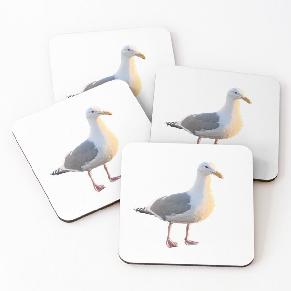 Item preview, Northwest Seagull in Port Townsend designed and sold by lisakayfotos.