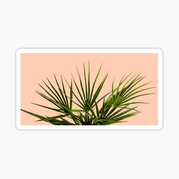 Item preview, Palm Life - Pastel designed and sold by Jennifer Walsh Design.