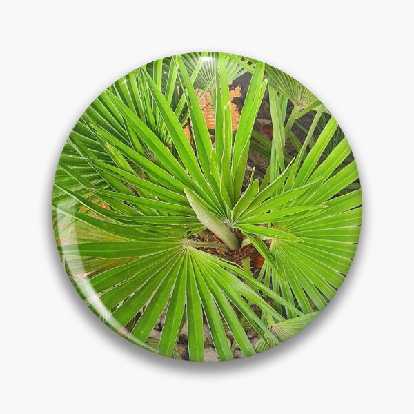 Item preview, palmtree designed and sold by Tereza Pilar  Art.