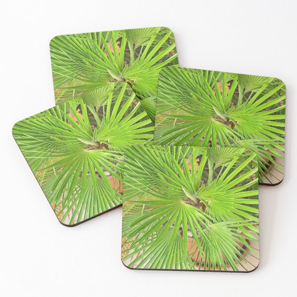 Item preview, palmtree designed and sold by Tereza Pilar  Art.