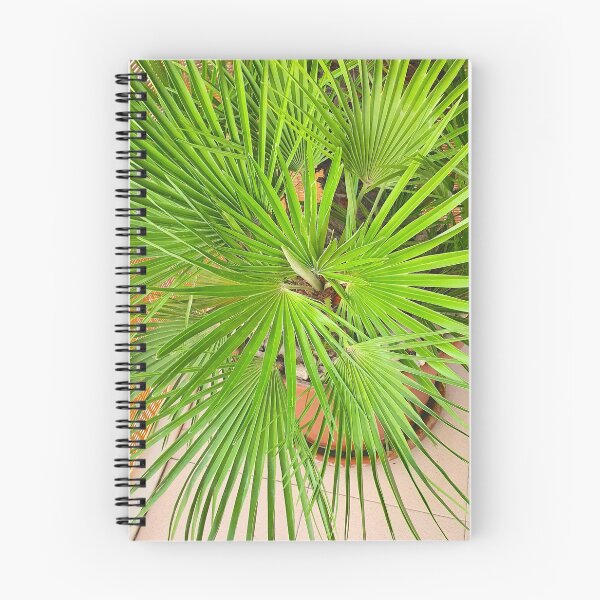 Item preview, palmtree designed and sold by Tereza Pilar  Art.