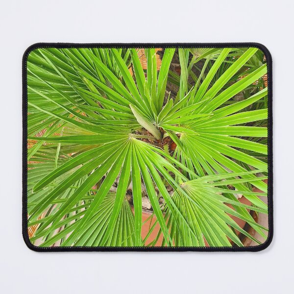 Item preview, palmtree designed and sold by Tereza Pilar  Art.
