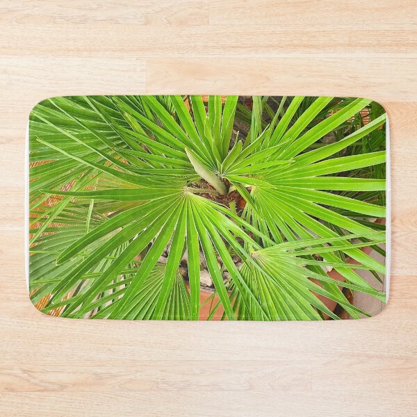 Item preview, palmtree designed and sold by Tereza Pilar  Art.