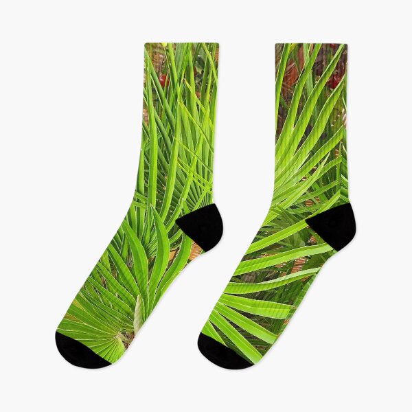 Item preview, palmtree designed and sold by Tereza Pilar  Art.
